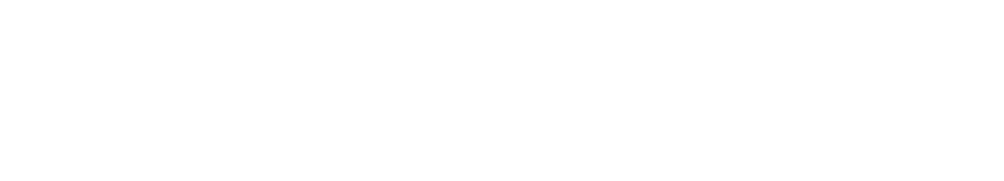 light logo